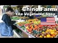 Chino Farm, California - Highest Quality Produce