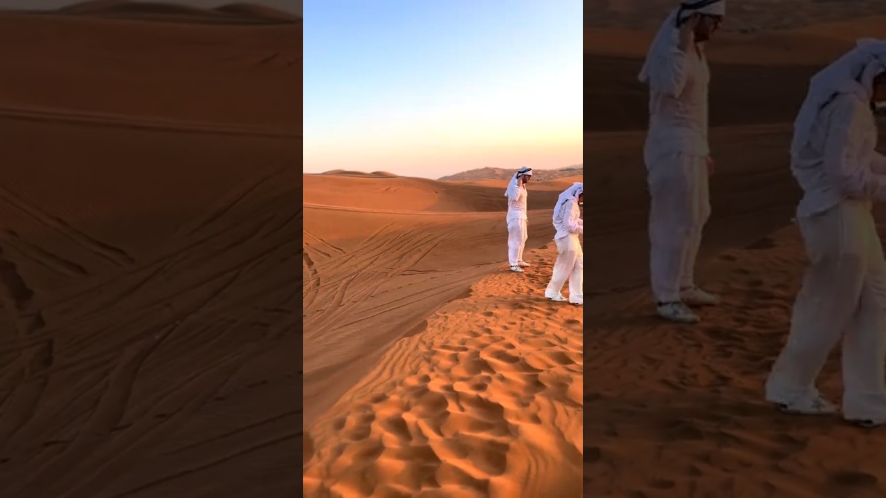 Tranquil Desert Vibes | UAE Nature Aesthetic | Earthy Delights