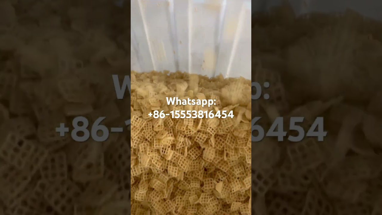 Windows net 2d snack pellet make extruder machinery Jinan dg machinery