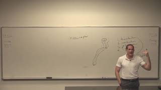 Pain Opioids Addiction NSAIDS | Nursing | Pathophysiology Pharmacology 1