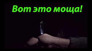 видео: Ловля сома на выползка в Апреле 2019 картинка: Ловля сома на выползка в Апреле 2019