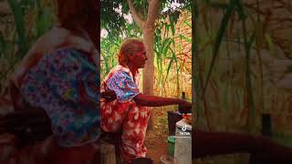 Eritrea Getmi\Abyy