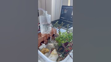 Smart Water Fountain with IR Sensor | A’ayaan’s HomeEd Robotics Learning #smartlearning