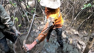 Con Lịch Này Bác Ba Kéo Không Lên Luôn Cả Nhà Ơi /Đạt Nguyễn Cần Giờ