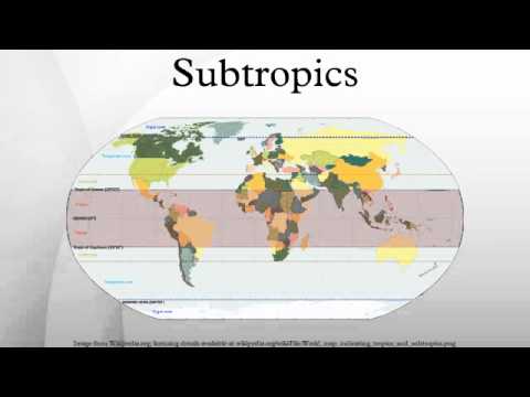 Subtropics