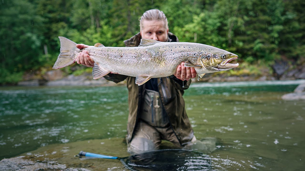 Storlaks i Drevja, ei lita laks- og sjøørretelv i Nordland - Utmarka S05E05