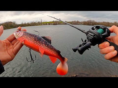 bass fishing with cast net Sea Bass