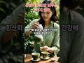 상큼하게 혈압 낮추는 6가지 음료