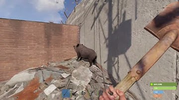 Rust - how to kill an animal in the safe zone