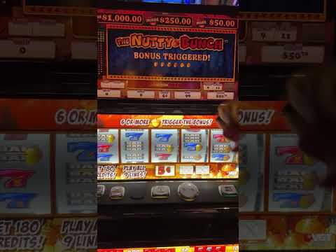 It’s a insane win #gamble #bigwin #stake #gambler #casinodealer #casino #casinoonline #maxwin #viral