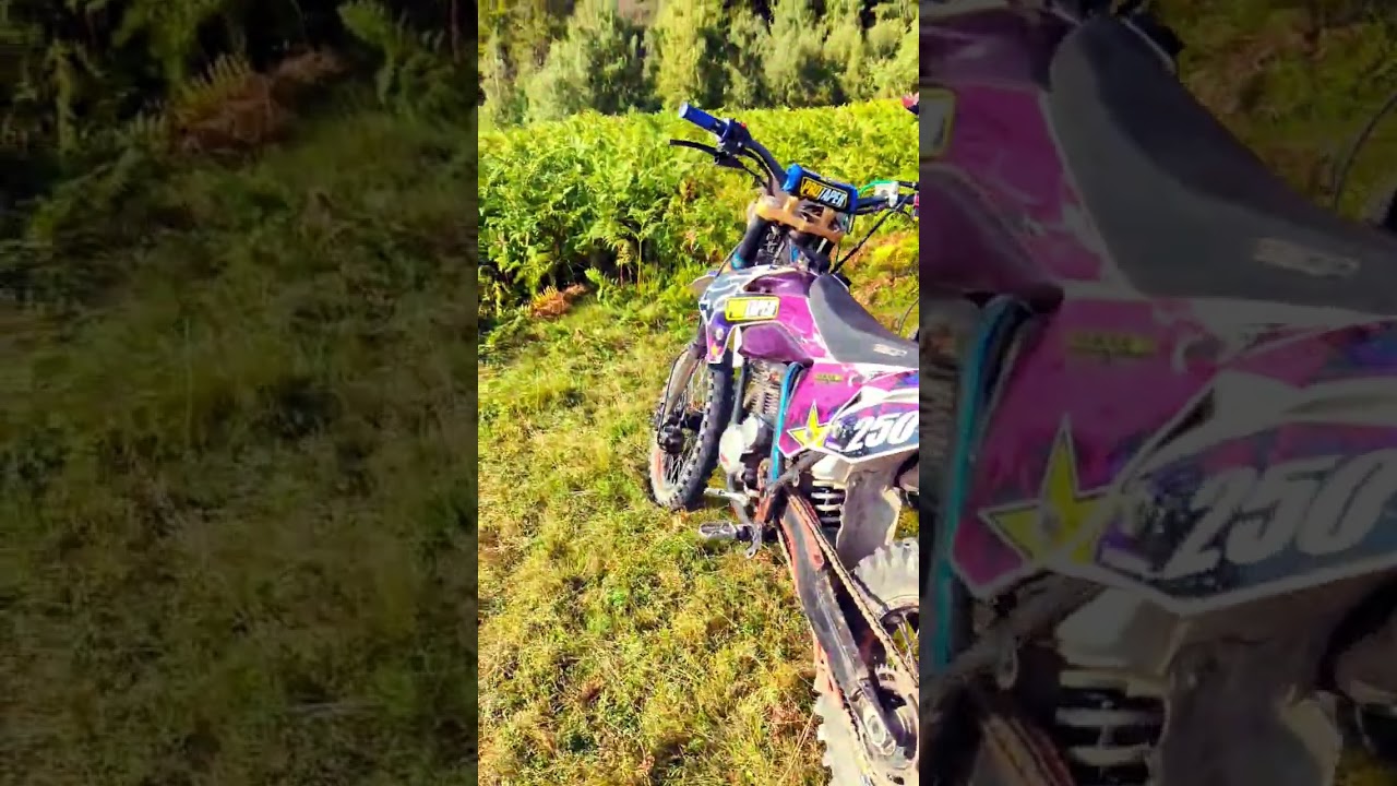 Perfect day for a ride. 🏍️