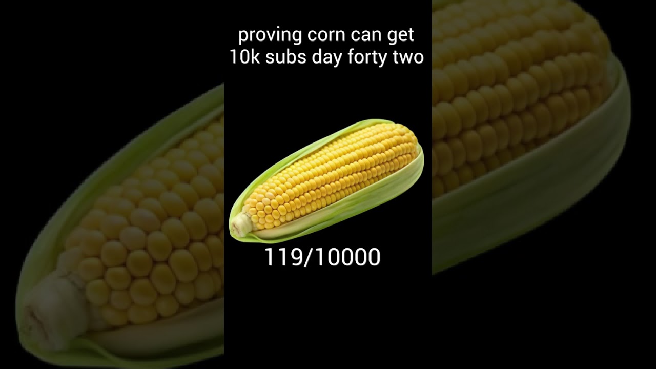 proving corn can get 10k subs day Fourty two