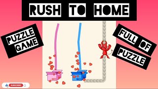 Rush To Home Puzzle Game The Unexpected Rush to Home screenshot 5