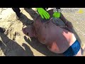 When You're Too Drunk And Entitled To Leave The Beach