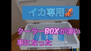 シマノクーラーにイカ用スノコ
