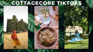 Enough CottageCore TikToks to fill a cozy little cabin