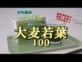 景品に!食物繊維54.7% 美味しくて飲みやすい・・・ 大麦若葉