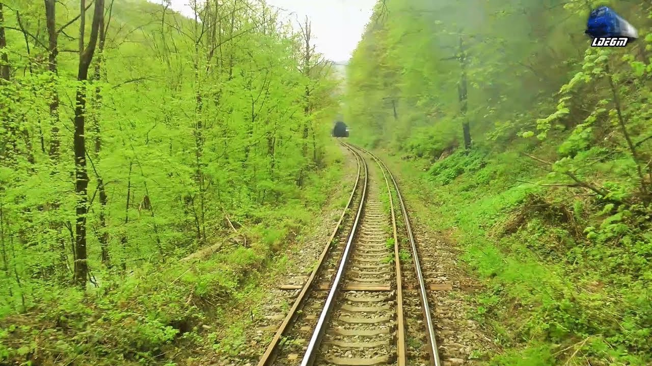 [L409] Train Backview Valea Vișeului-Bocicoi-Sighetu Marmației @R4135 Cluj Napoca-Sighetu Marmației