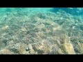 Alonissos 2022 Underwater