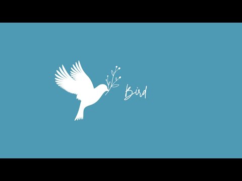 【オリジナルソング】Bird/森重秀太 Studio Rec ver.