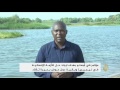 ملايين السكان قرب بحيرة تشاد يعيشون أوضاعا صعبة ملايين السكان قرب بحيرة تشاد يعيشون أوضاعا صعبة