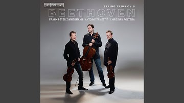 String Trio in C Minor, Op. 9 No. 3: III. Scherzo. Allegro molto e vivace