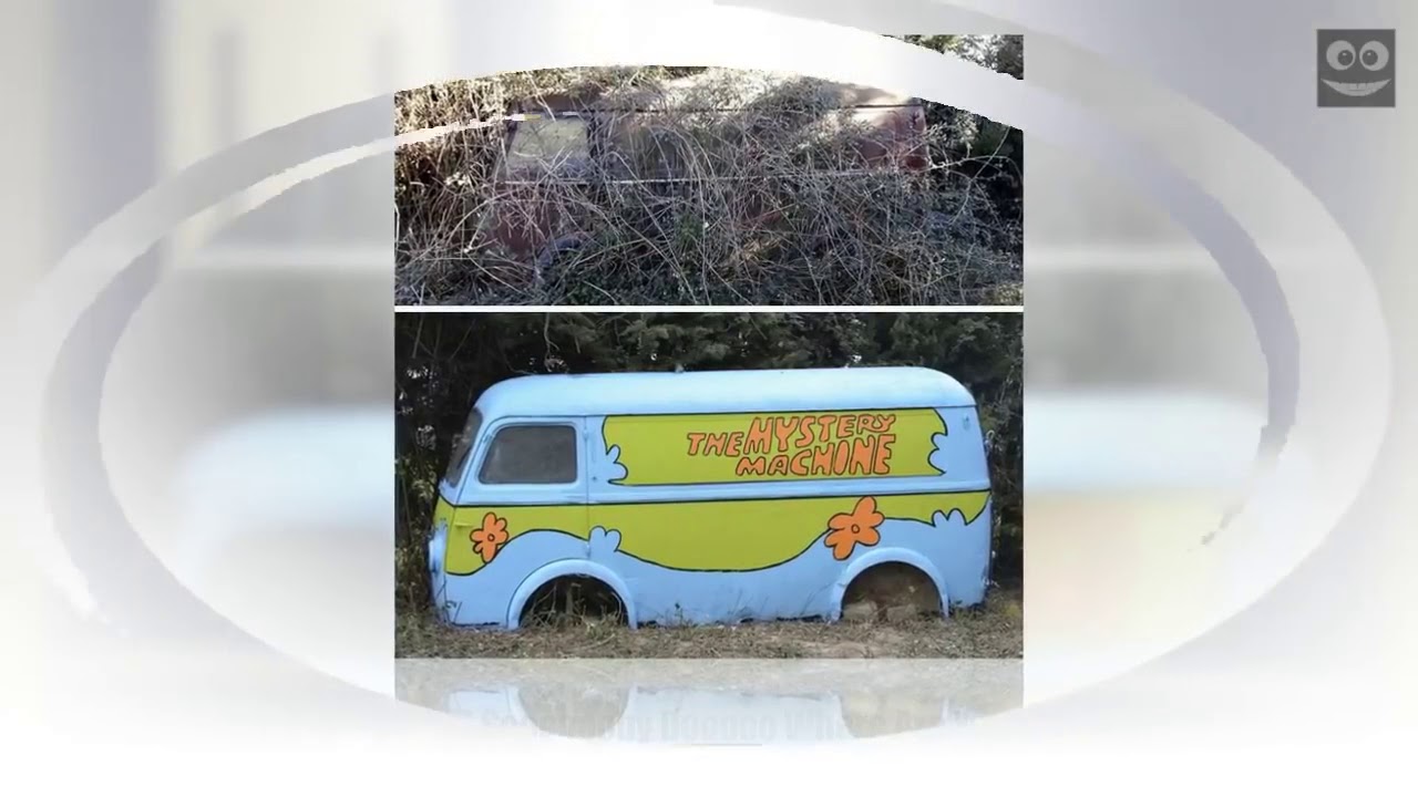 15+ 𝘙𝘢𝘯𝘥𝘰𝘮 𝘈𝘤𝘵𝘴 𝘖𝘧 𝘎𝘦𝘯𝘪𝘶𝘴 𝘝𝘢𝘯𝘥𝘢𝘭𝘪𝘴𝘮