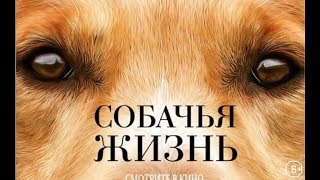 Калуст советует фильм Собачья жизнь . Калуст советует фильм Собачья жизнь .