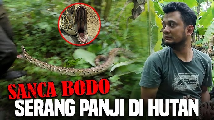 Olesya porno rasmlar