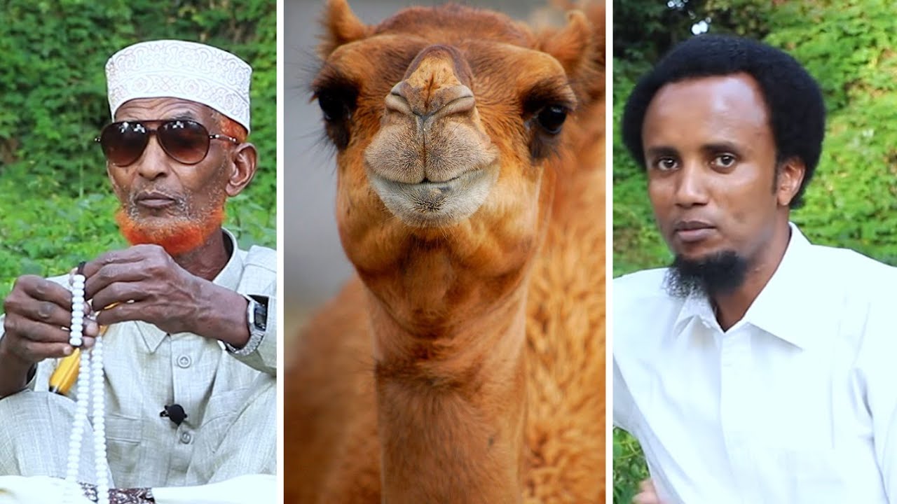 Igarre  oo abihii waraystay iyo Dhacdo Cajiib ah Halkan Kadaawo  Muuqaalka