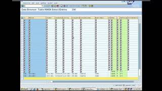Day  2-1   SAP Report continued, Message types, Function Modules