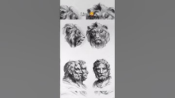 How would humans look if evolved into different animals || Part - 2 ||
