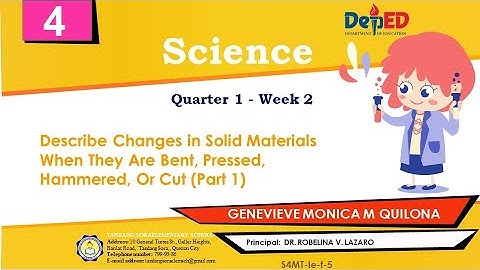 SCIENCE4 Q1W2 | Teacher Vhie