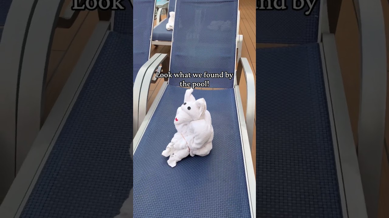 The Cutest Decorations on Carnival Splendor! #carnivalsplendor #australia