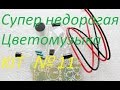 Супер недорогая цветомузыка (KIT №11)