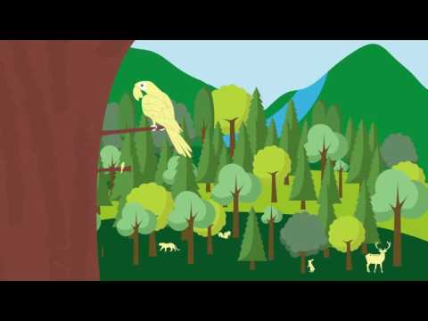 Proyecto Biodiversidad en