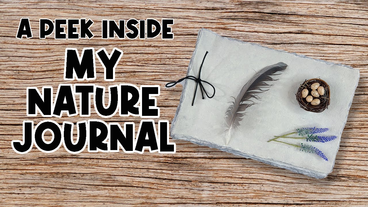 NATURE JOURNAL BASICS FOR BEGINNERS 