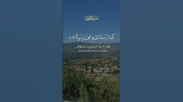 تلاوة عطرة لآيات من كتاب الله #القرآن_الكريم #الله #اكسبلور #المصحف #foryou #راحة_نفسية #viral #fyp