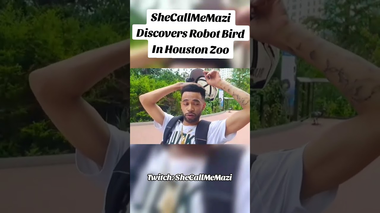 CAUSE WHAT SOUND IS THAT?? 😳🤣 #bird #funny #robot #twitch #shecallmemazi