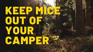 Stop Rodents in Your RV