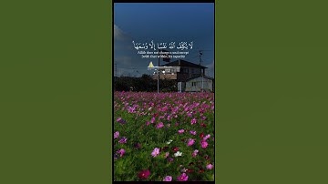 قرآن كريم تلاوة هادئة ارح سمعك #قرآن #أحسن_تلاوت_القرأن_الكريم #اكسبلور #quran #المصحف #اسلاميات