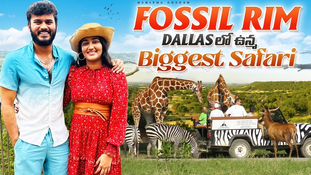 Labour Day Weekend : Fossil Rim Safari, Meeting Friends, DFW food trucks and delicious food!