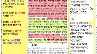 הדף היומי מסכת שבועות דף ז 7 שלישי י״ז כסלו תשע״ח