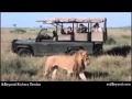 AndBeyond Kichwa Tembo Kenya Safari AndBeyond Kichwa Tembo Kenya Safari