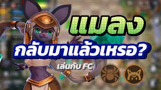 แมว แมลง กลับมาแล้วเหรอ? | Civet +| Insect4 | Auto Chess