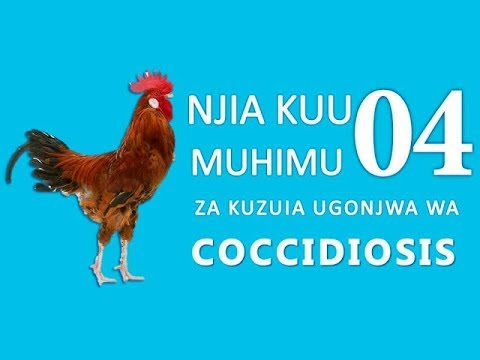 Video: Jinsi ya Kuzuia Ushujaa: Hatua 10 (na Picha)