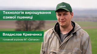 Владислав Кривченко, головний агроном ФГ «Світанок», — про технологію вирощування озимої пшениці