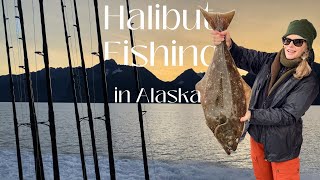 Halibut Fishing in Alaska, Dall's Porpoises, Steller Sealions