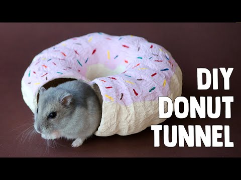 diy-donut-tunnel-for-hamsters-&-mice