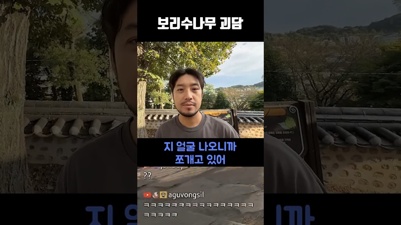 보리수나무 괴담